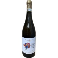Moscato d'Asti DOCG | Bocchino